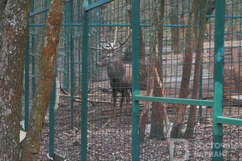 Олеськів туризм