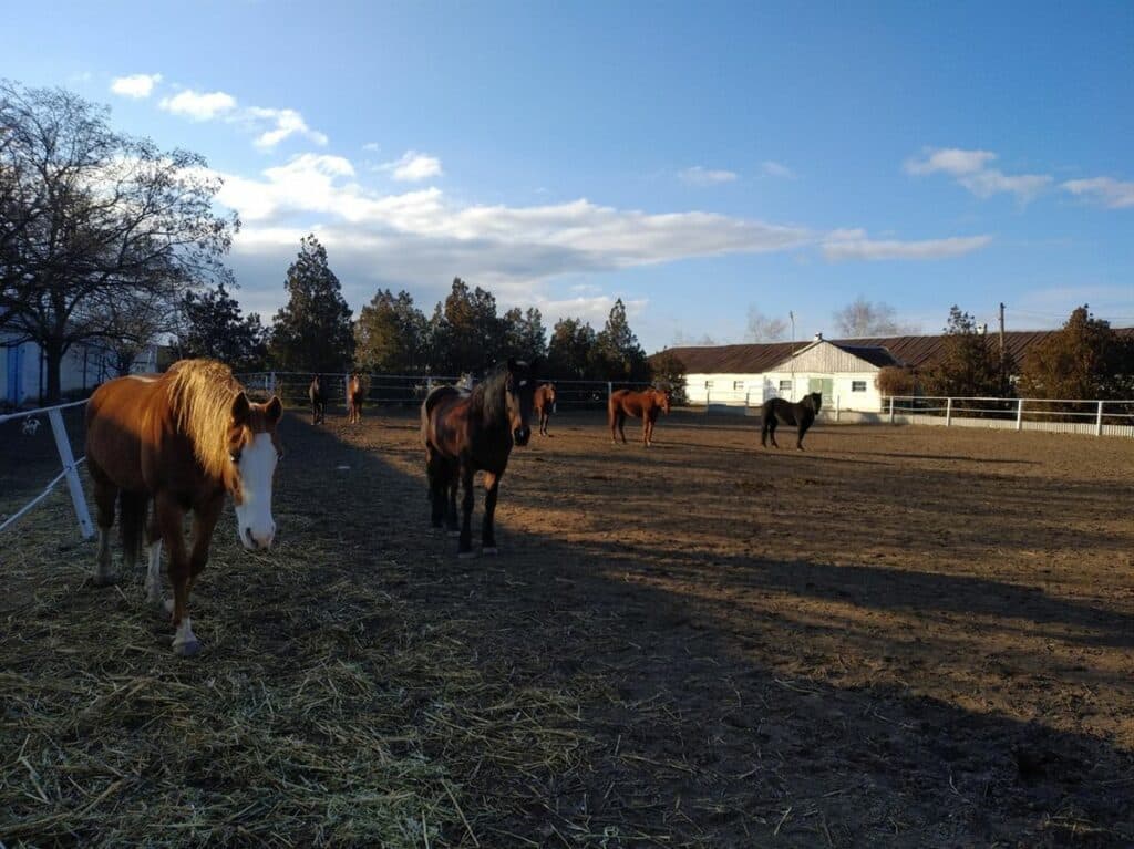 туризм донецкая область_35