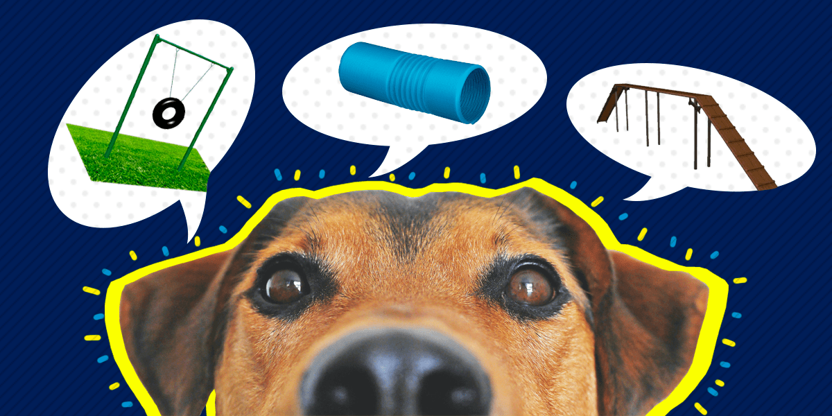 обложка мариуполь собаки