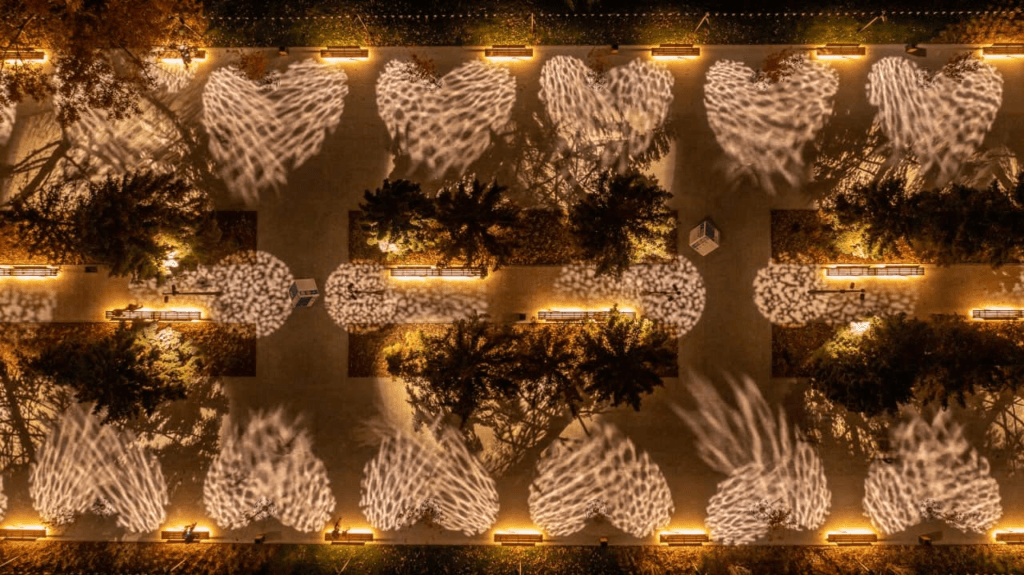 дышащий лес