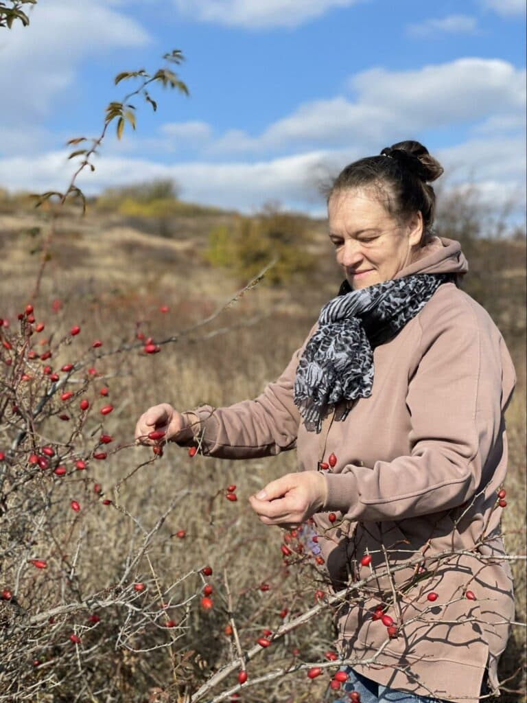 святогорск бизнес война