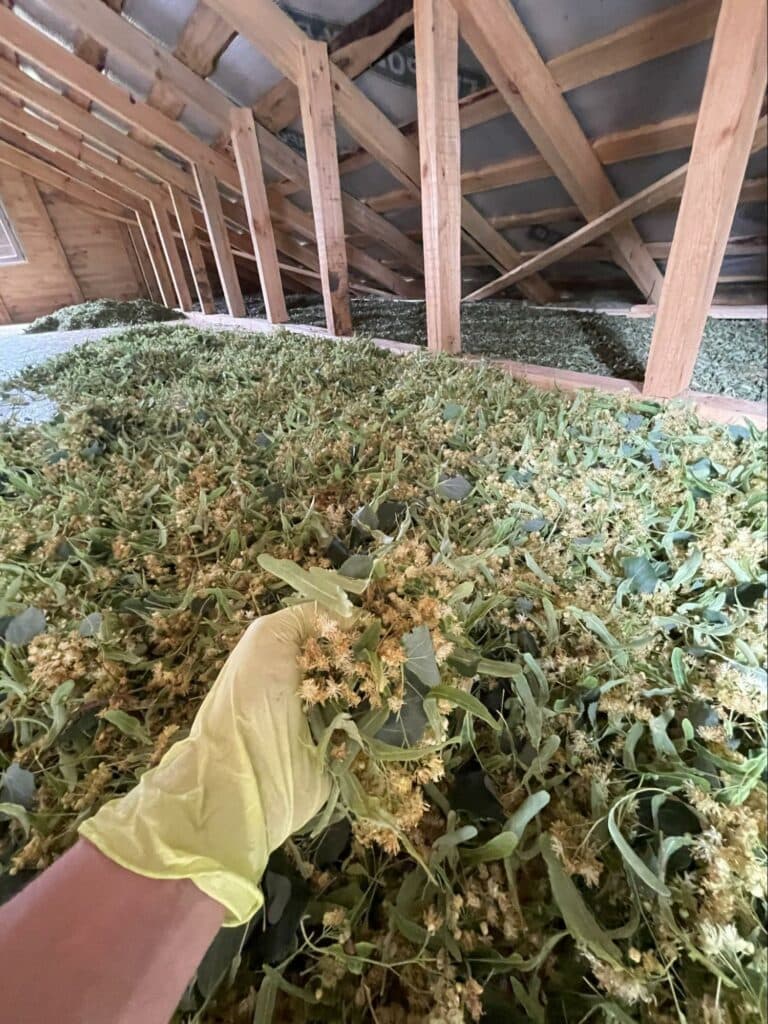 святогорск бизнес война