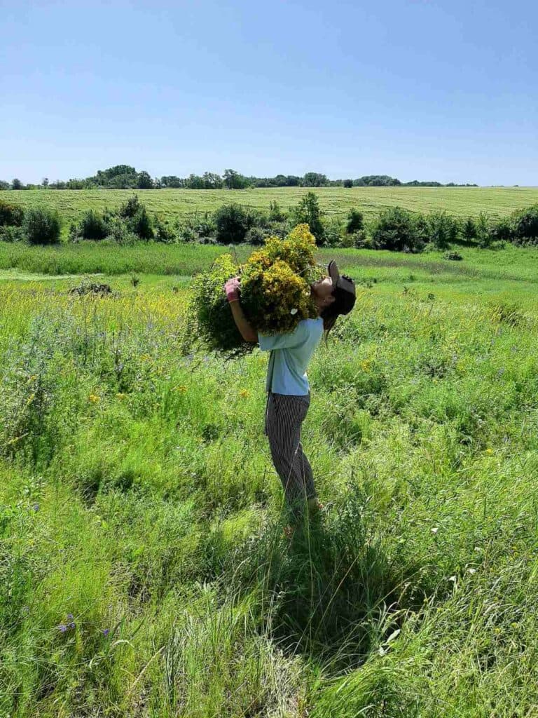 святогорск бизнес война