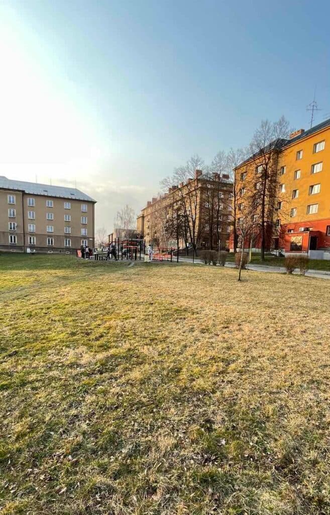 чехия переселенцы