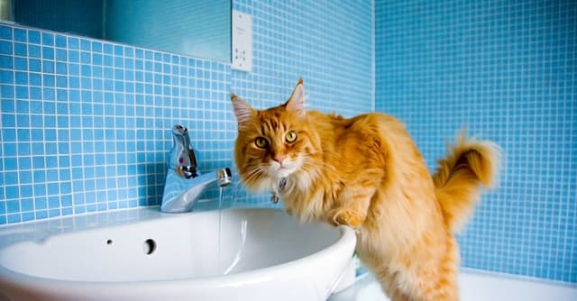 Подача воды в Покровск и Мирноград остановлена