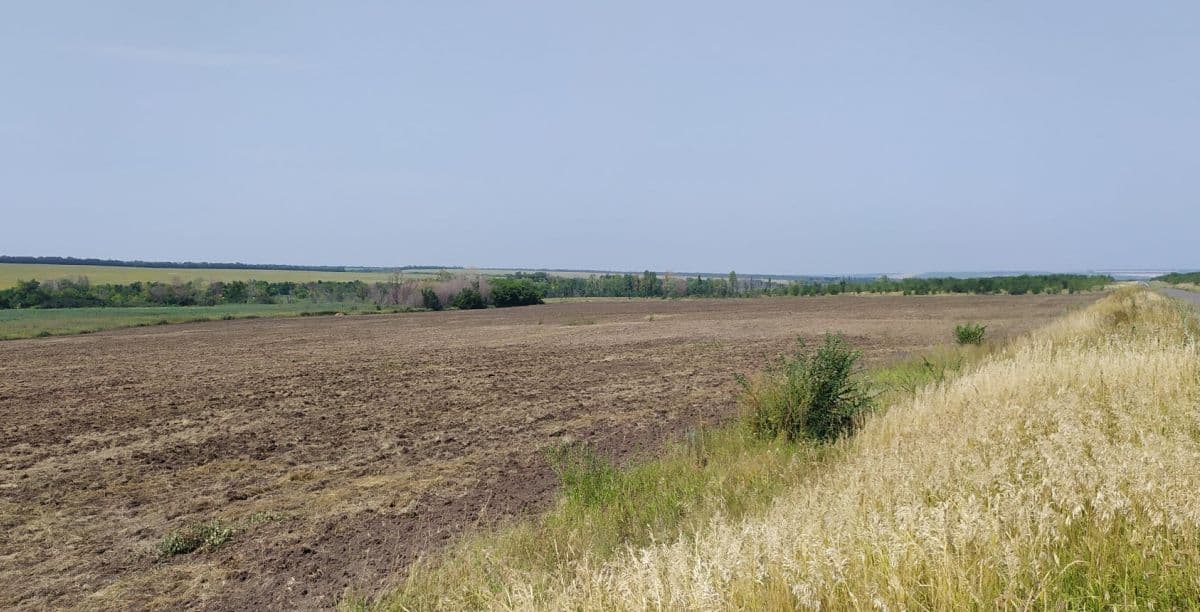 луганщина оккупация поле