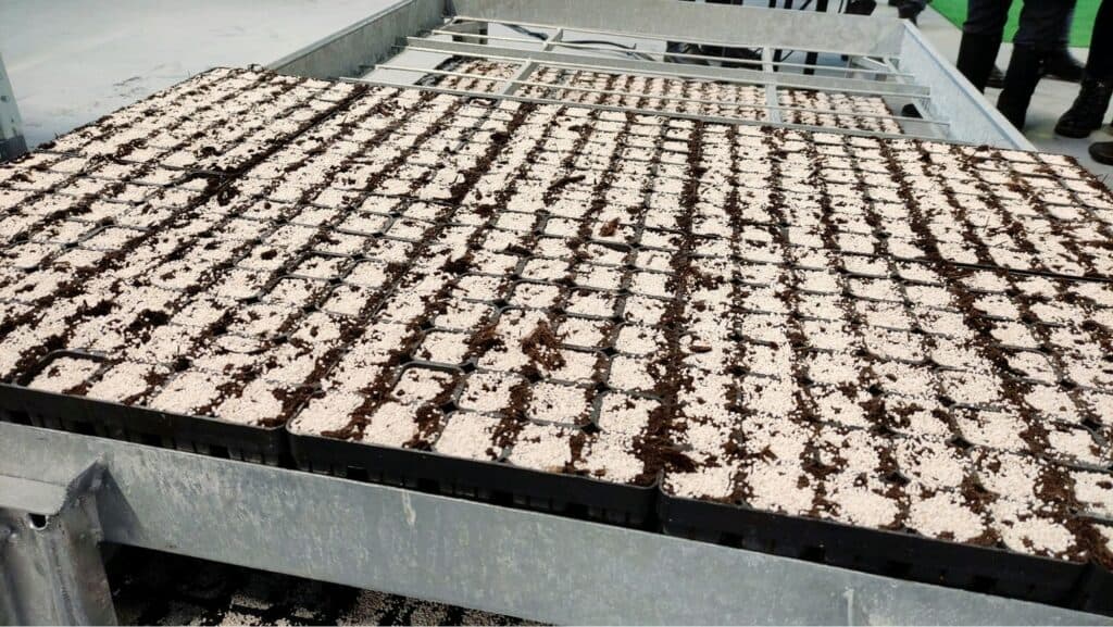 селекционный центр Лимана