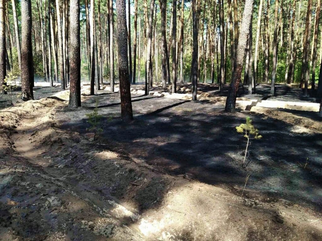 селекционный центр Лимана