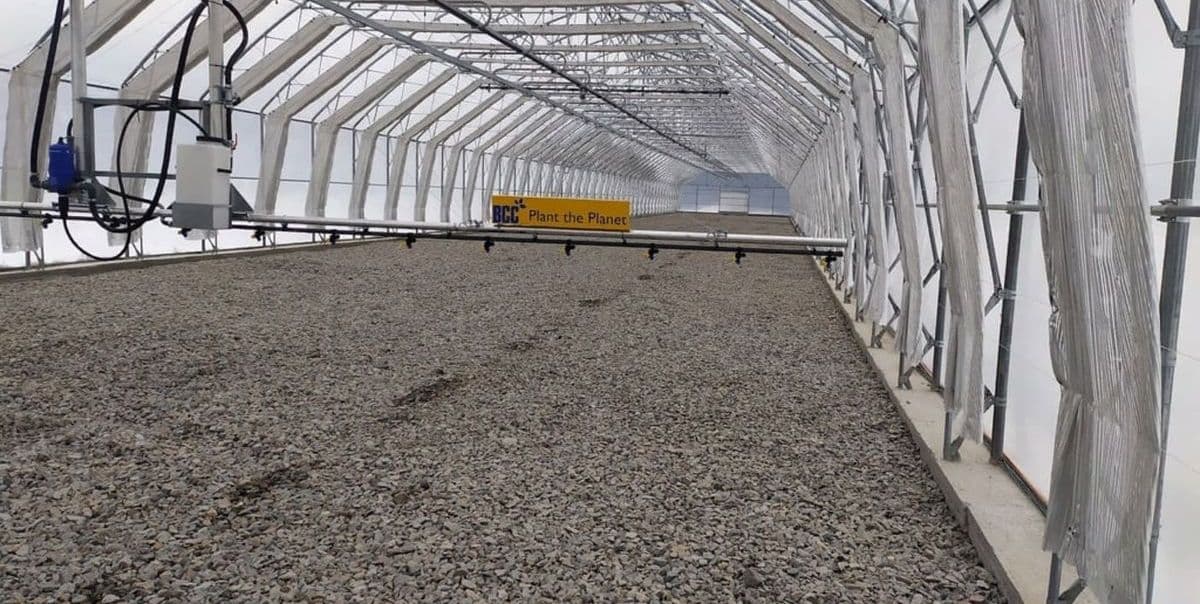 теплица селекционный центр Лимана