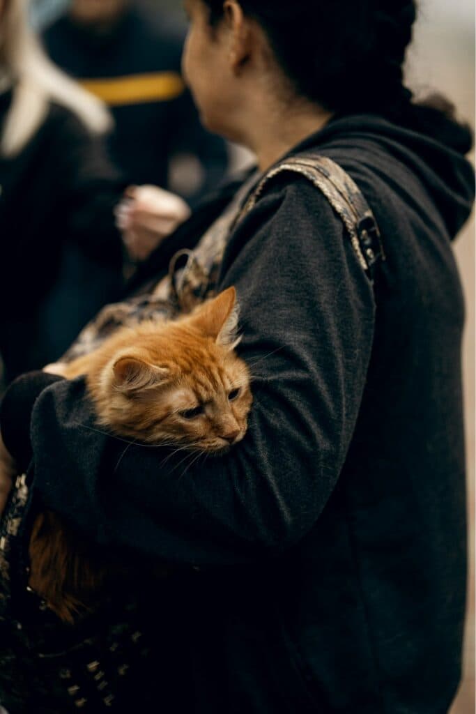 Обов’язкова евакуація з Донеччини_06