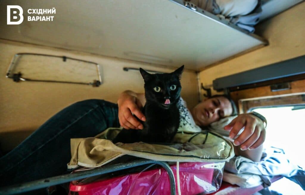 покровськ евакуація Донеччина поїзд кішка