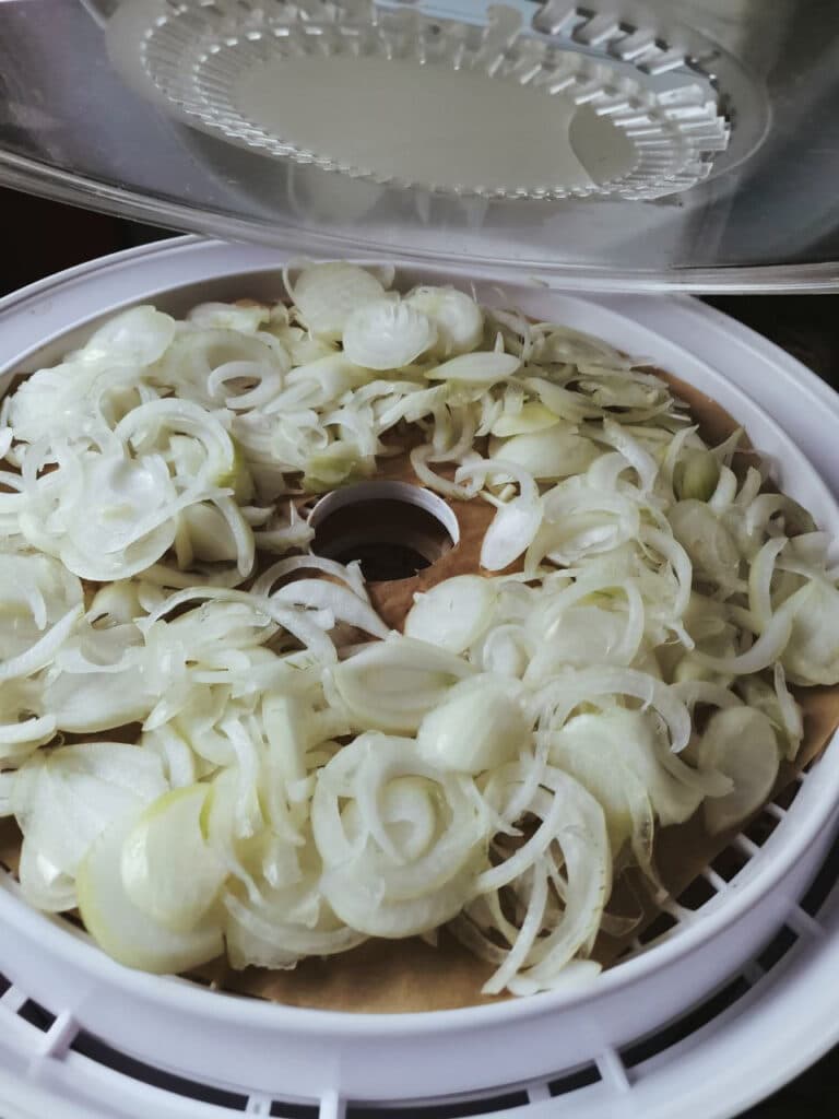цибуля