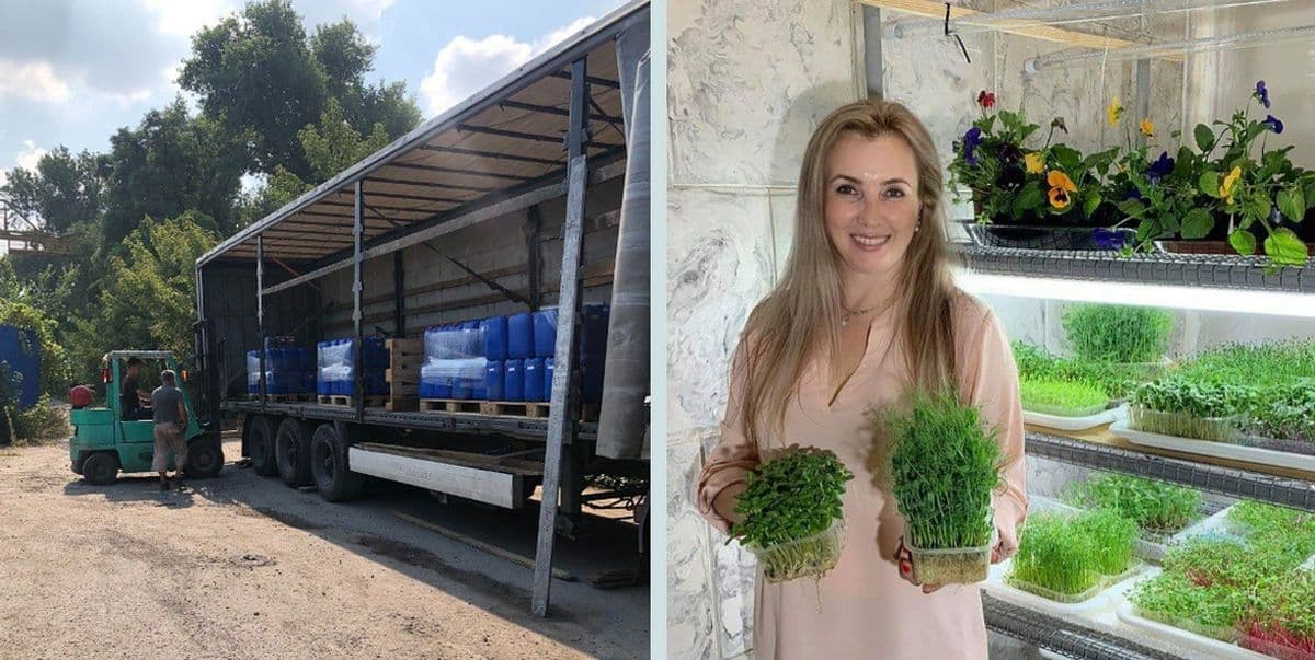 Олена Хатмулліна головна колаж