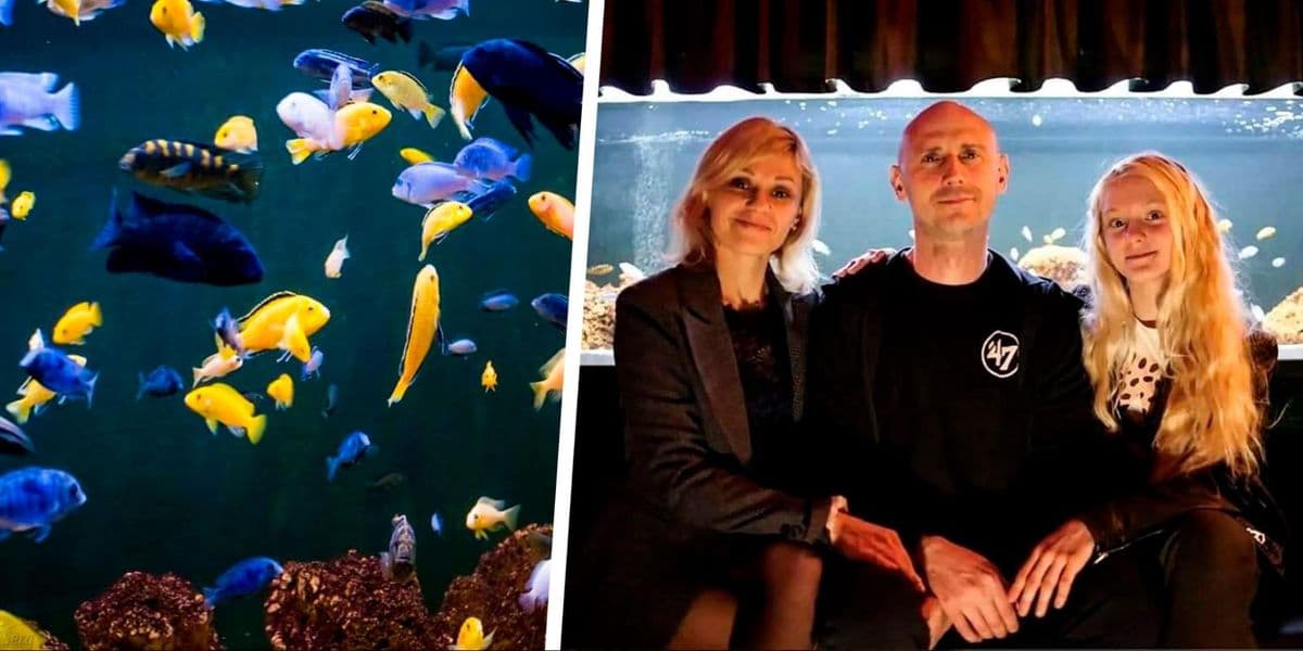 акваріум у Краматорську