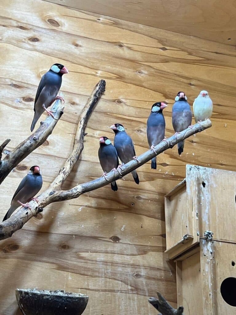 акваріум у Краматорську