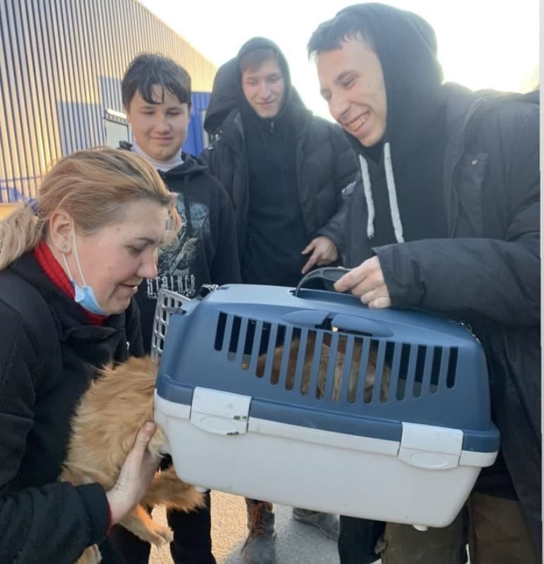 Маріуполь евакуація тварин