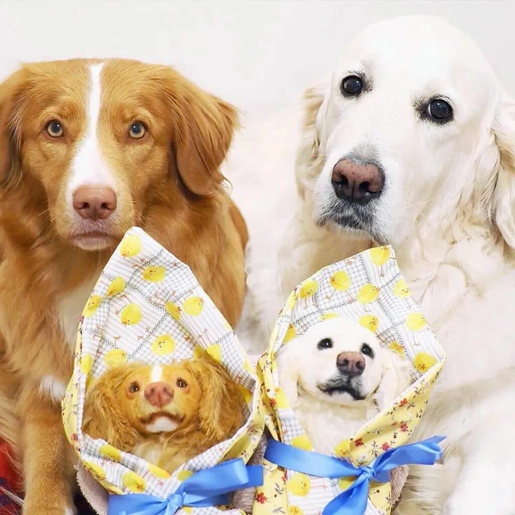 Катерина Макогон з Лисичанська іграшки_05_1