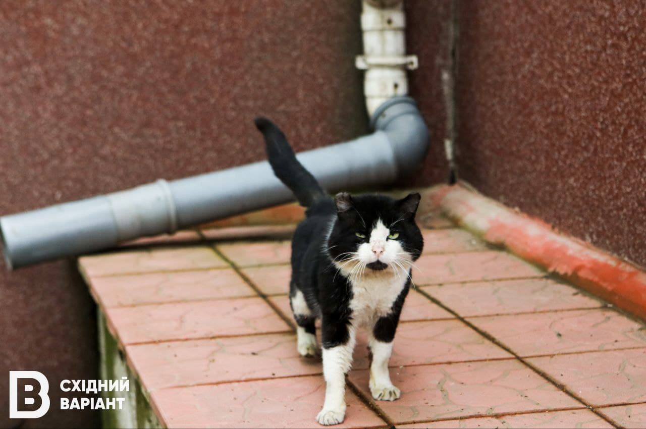 Костянтинівка 15.04.2023