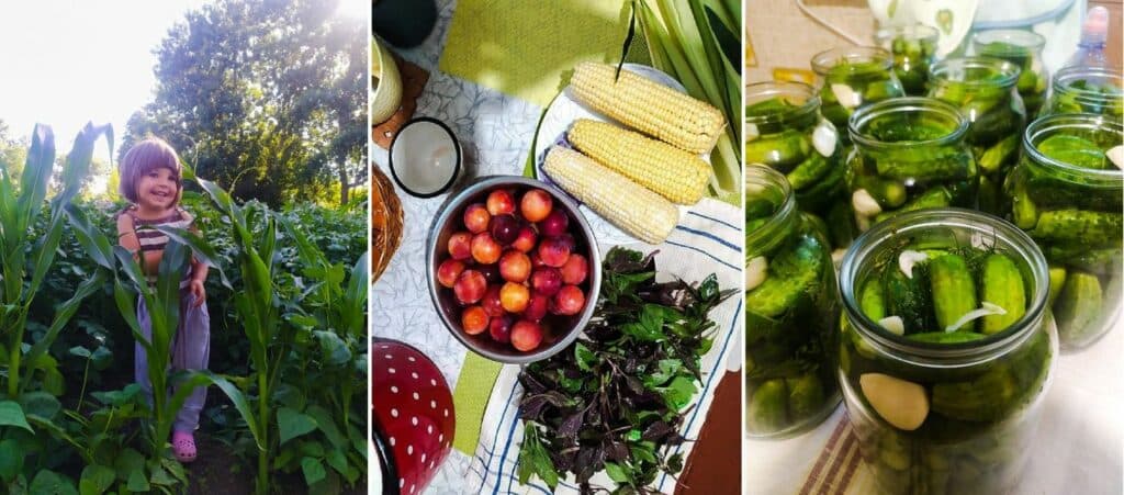 Козинські з Луганщини