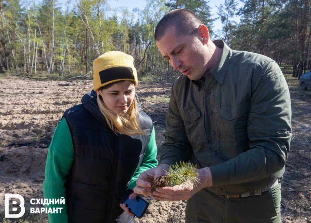 ліси Донеччини Лиманщини квітень 2023