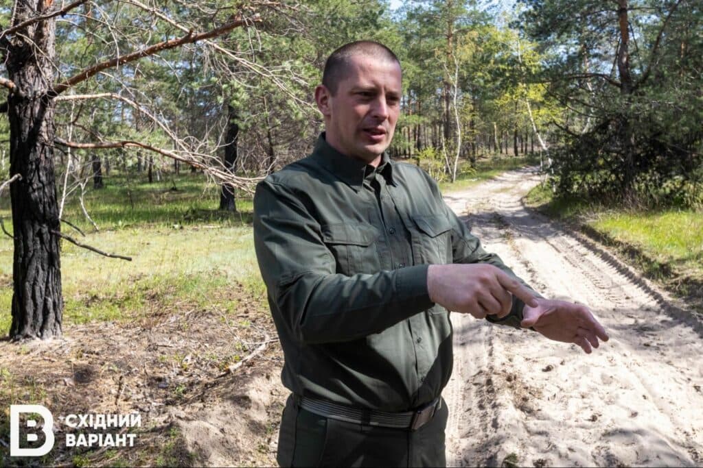 Лиманщина ліси