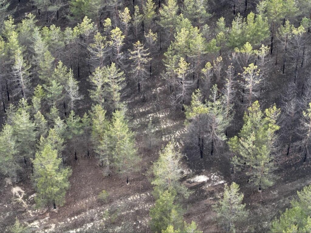 Святі гори війна