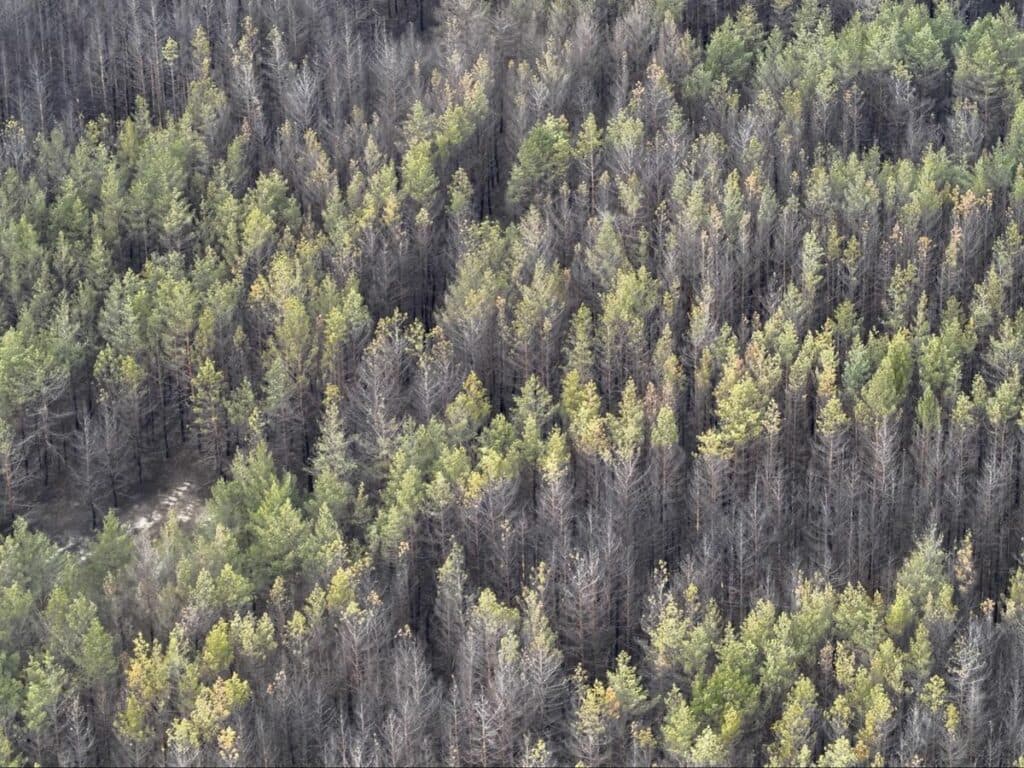 Святі гори війна