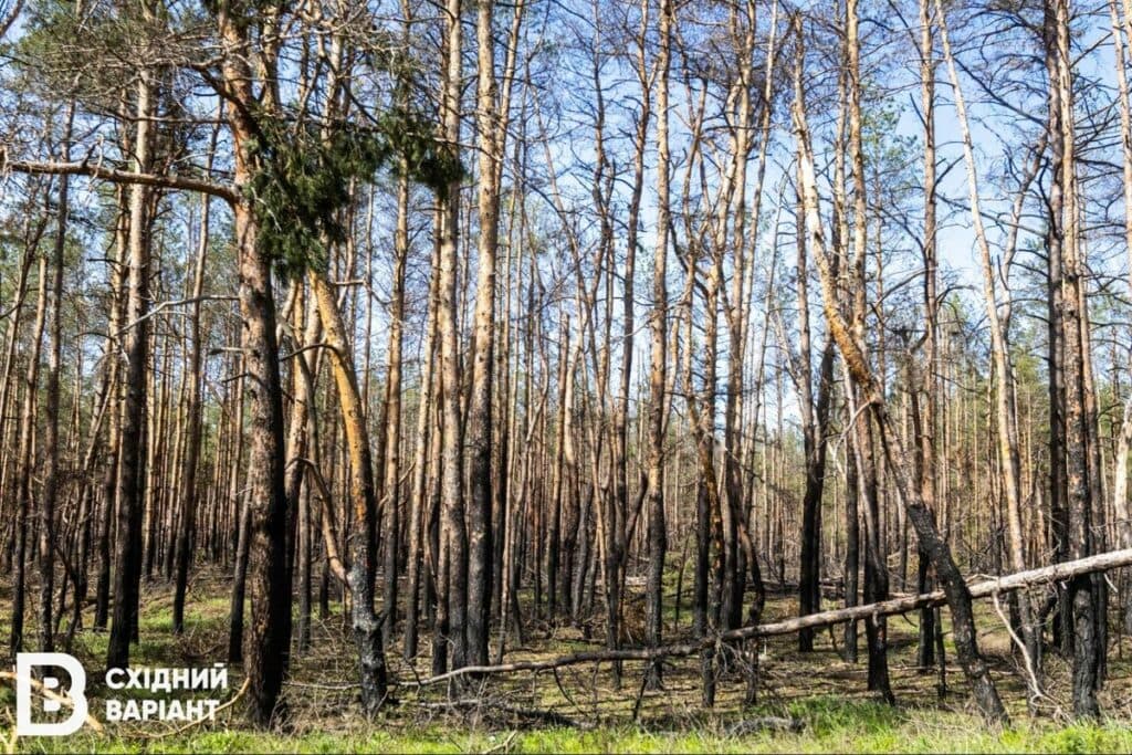 Святі гори війна