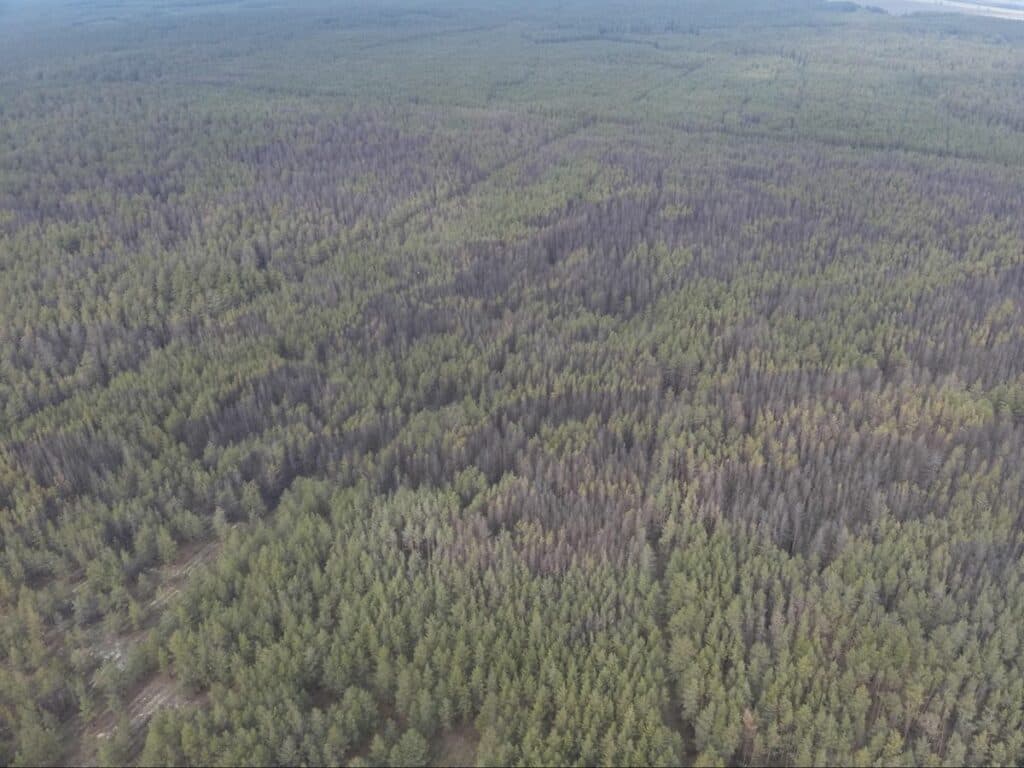 Святі гори війна