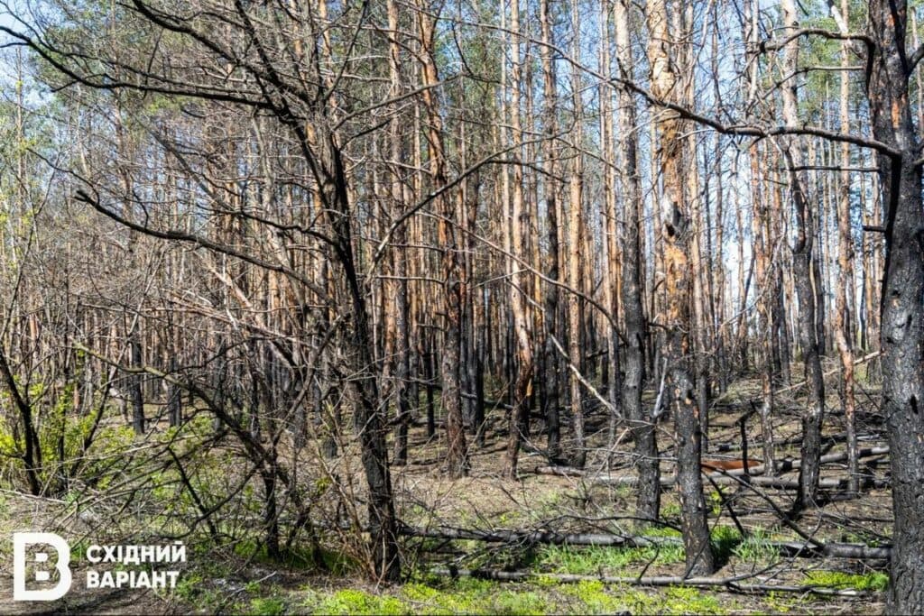 Святі гори війна