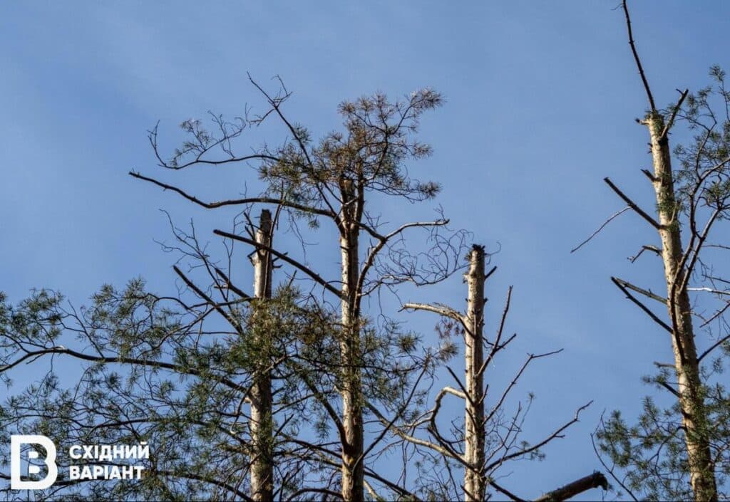 Святі гори війна