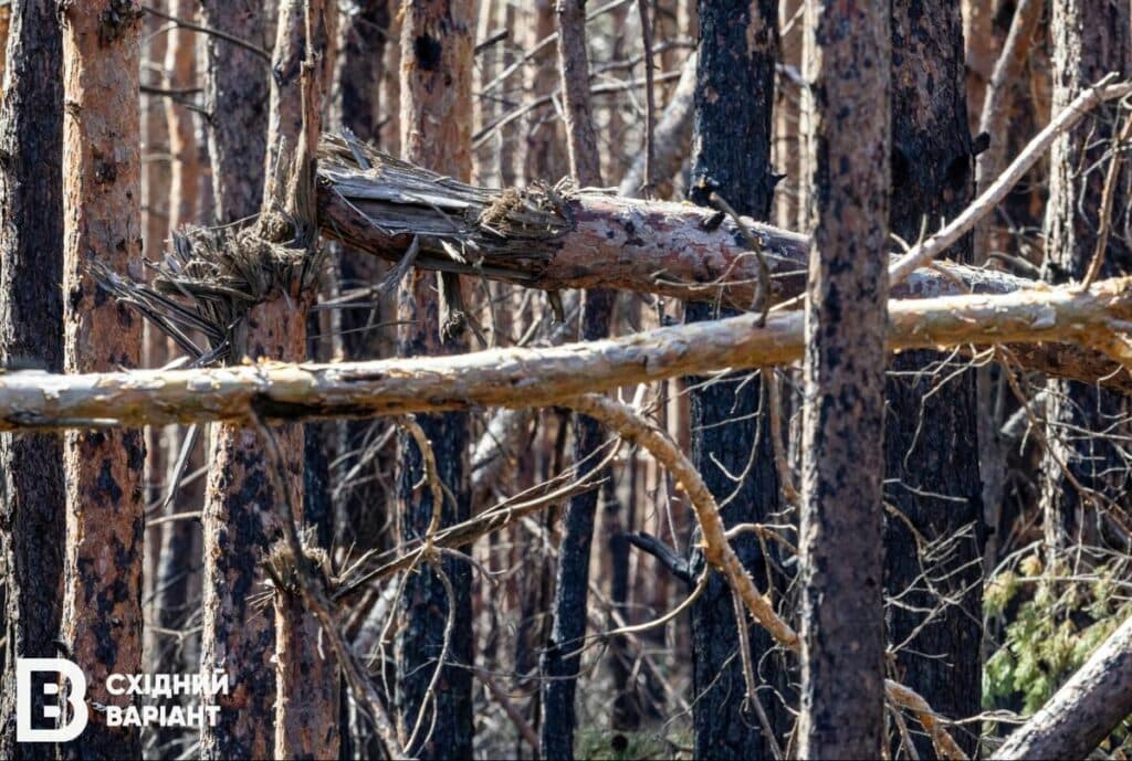 Святі гори війна