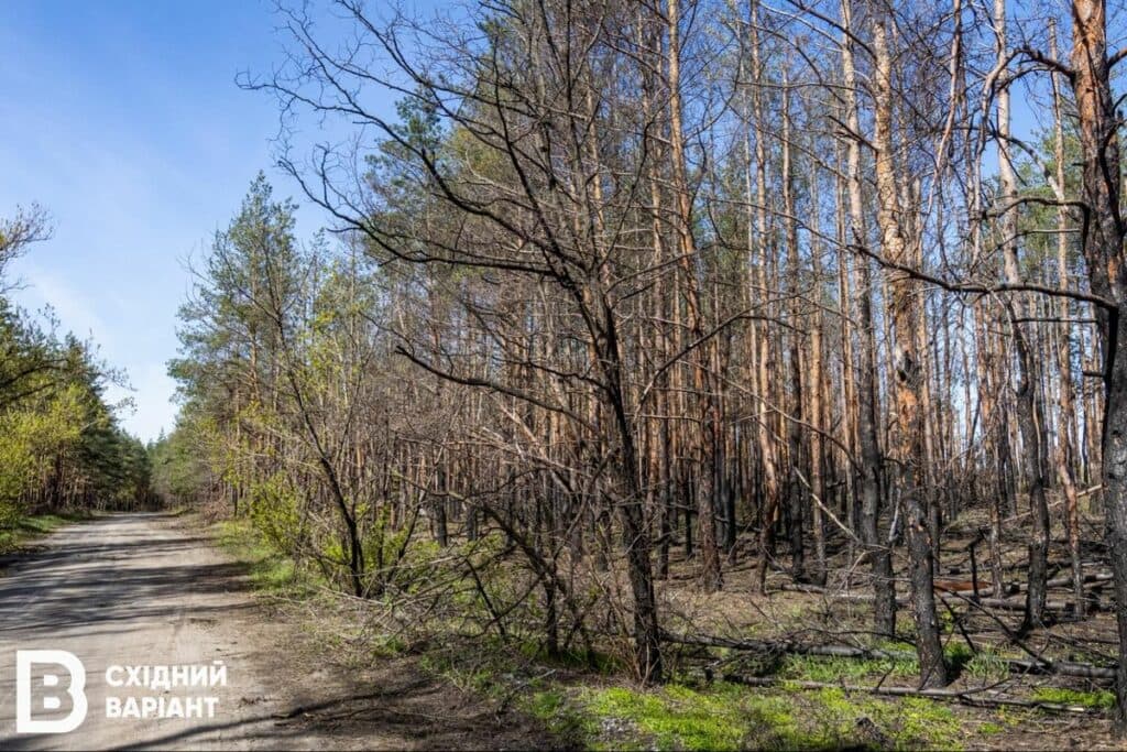 Святі гори війна