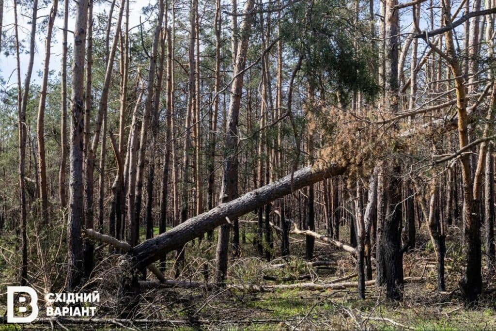 Святі гори війна