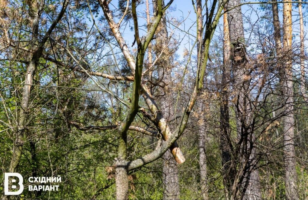 Святі гори війна