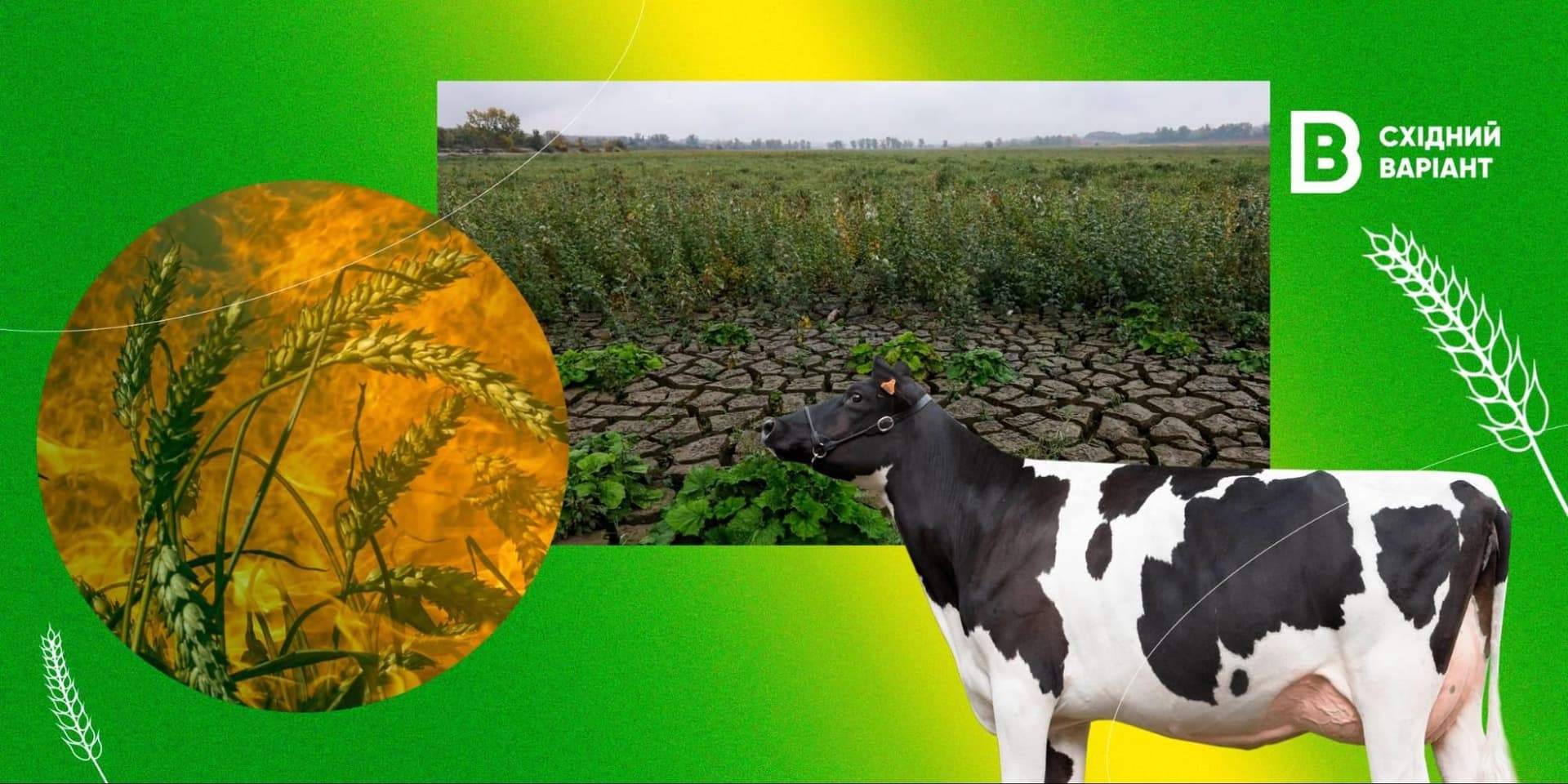 фермери Донеччини земля