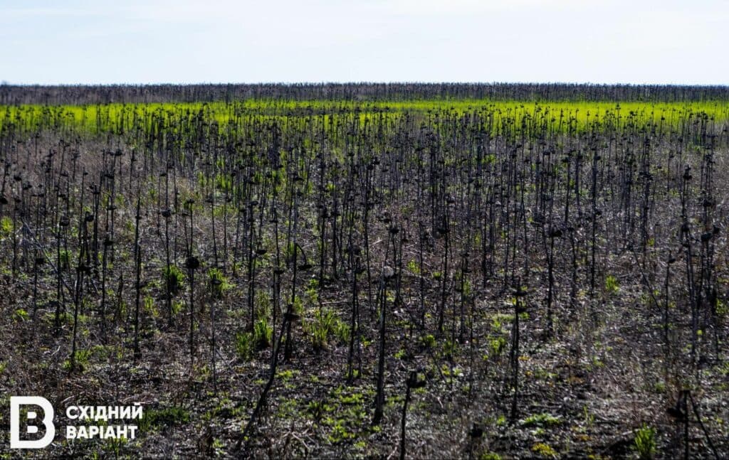 фермери Донеччини земля