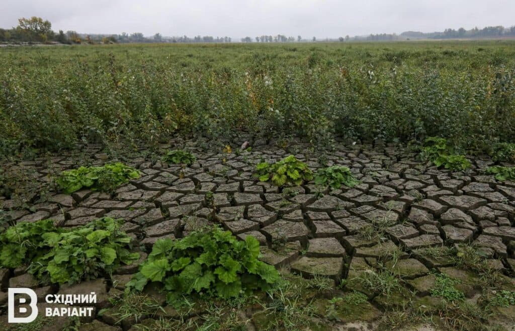 фермери Донеччини земля