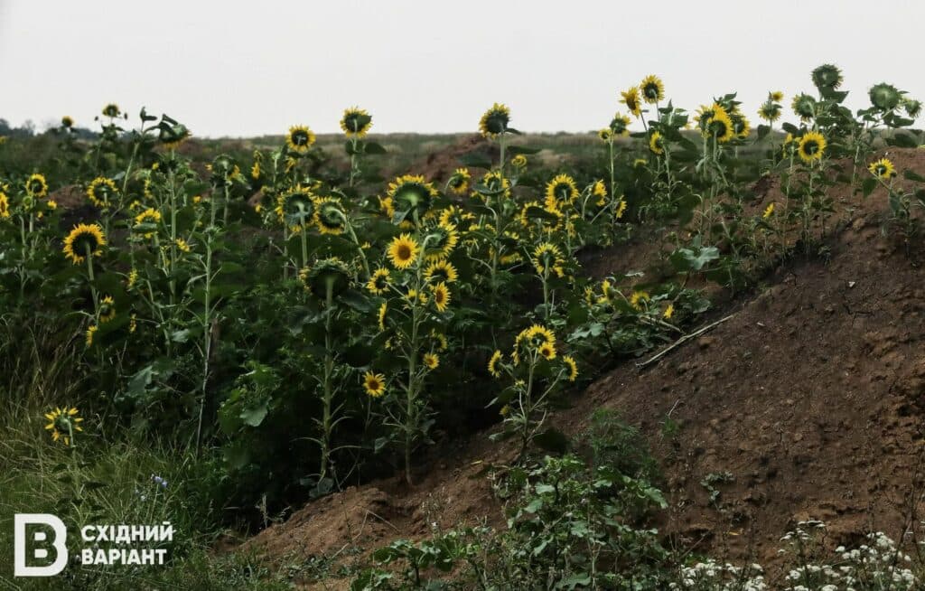 фермери Донеччини земля
