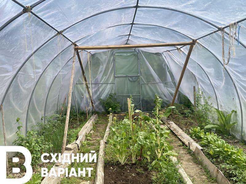 екоактивісти з Донеччини