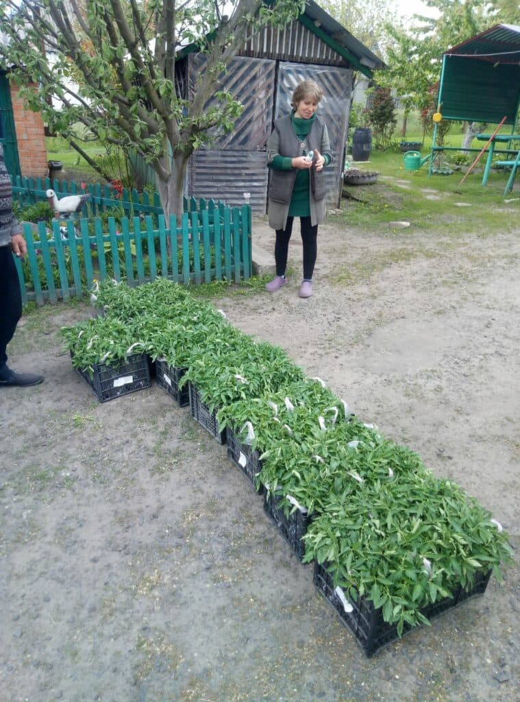 садівник зі Слов'янська