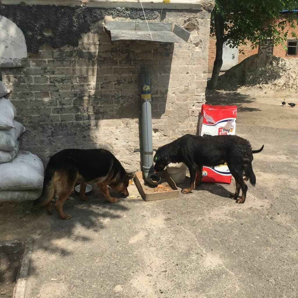 волонтери з Краматорська