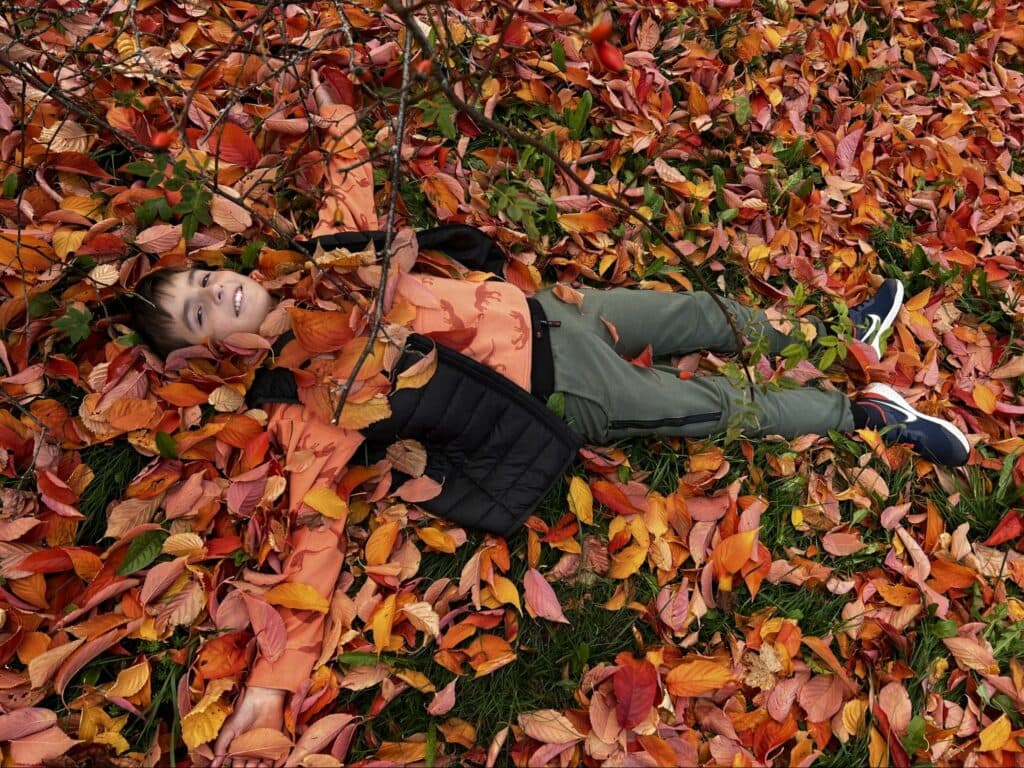 Республіка Пілігрим антифейк