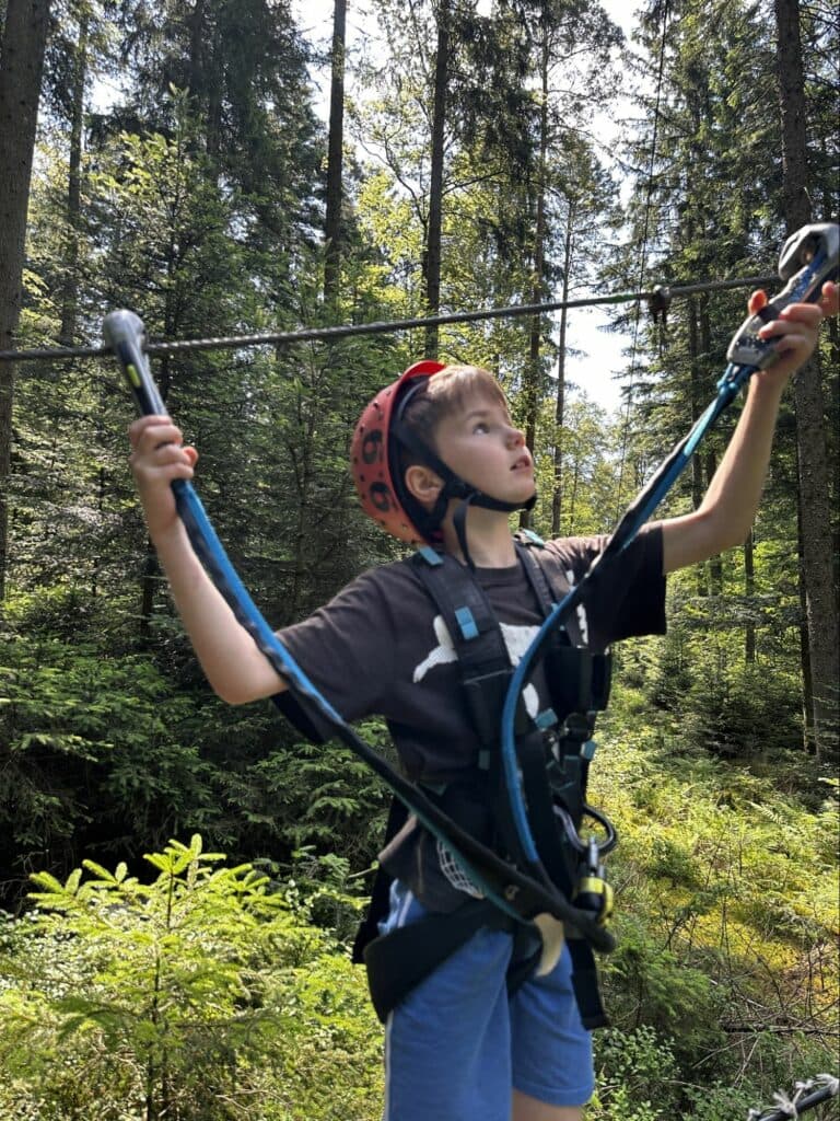 Республіка Пілігрим антифейк