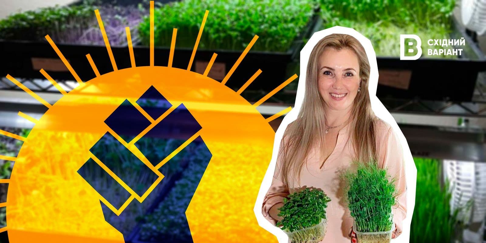 підприємиця з Костянтинівки