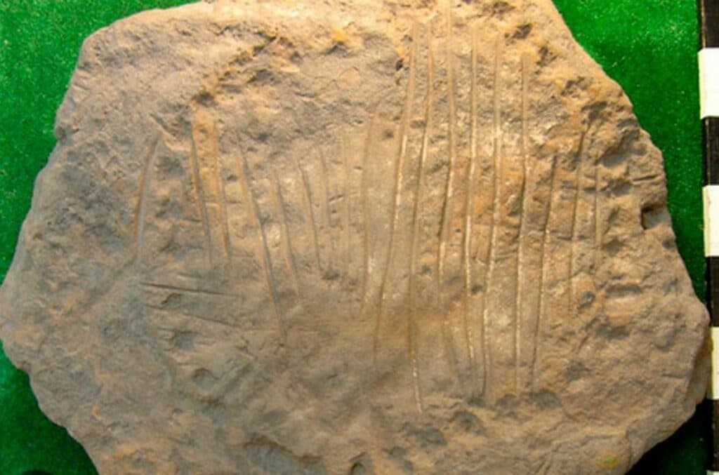 кургани Донеччина