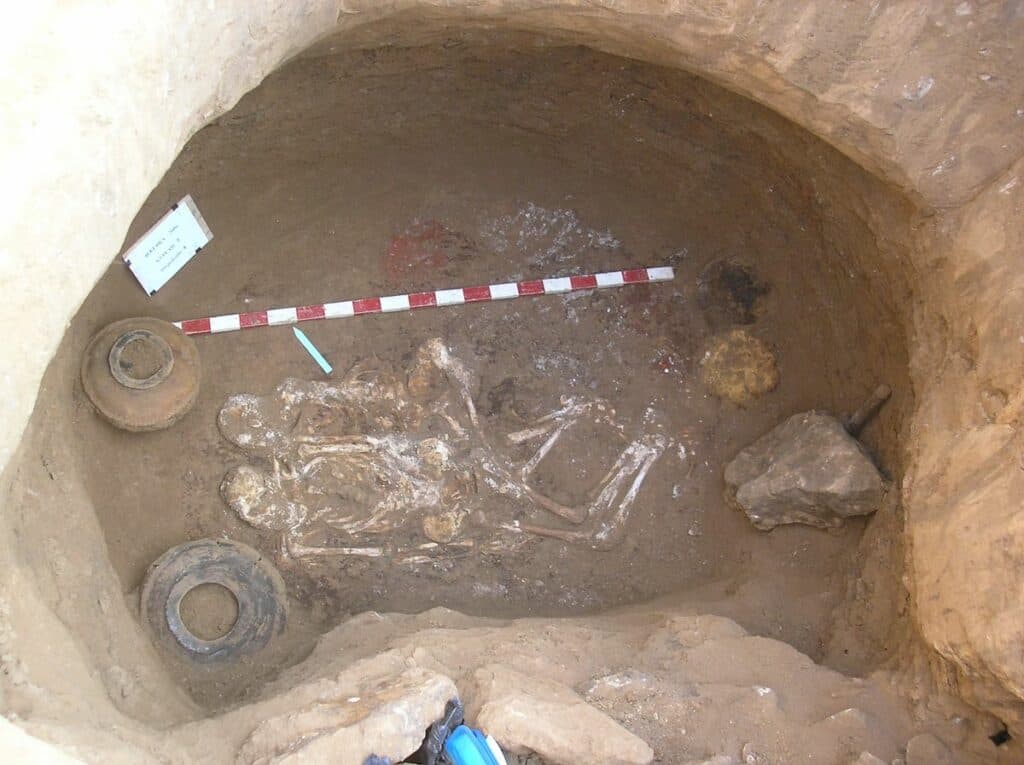 кургани Донеччина