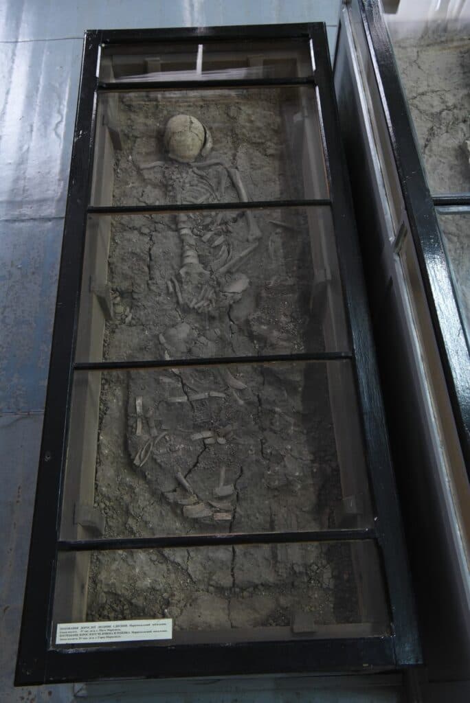 кургани Донеччина