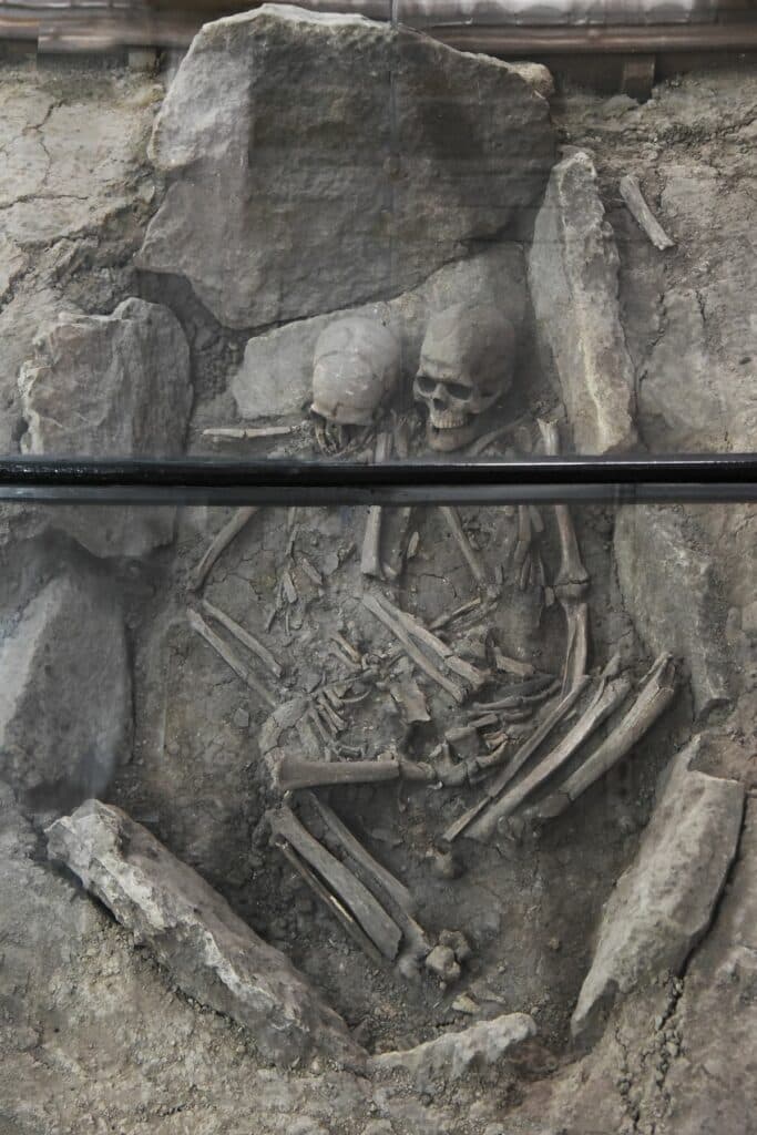 кургани Донеччина