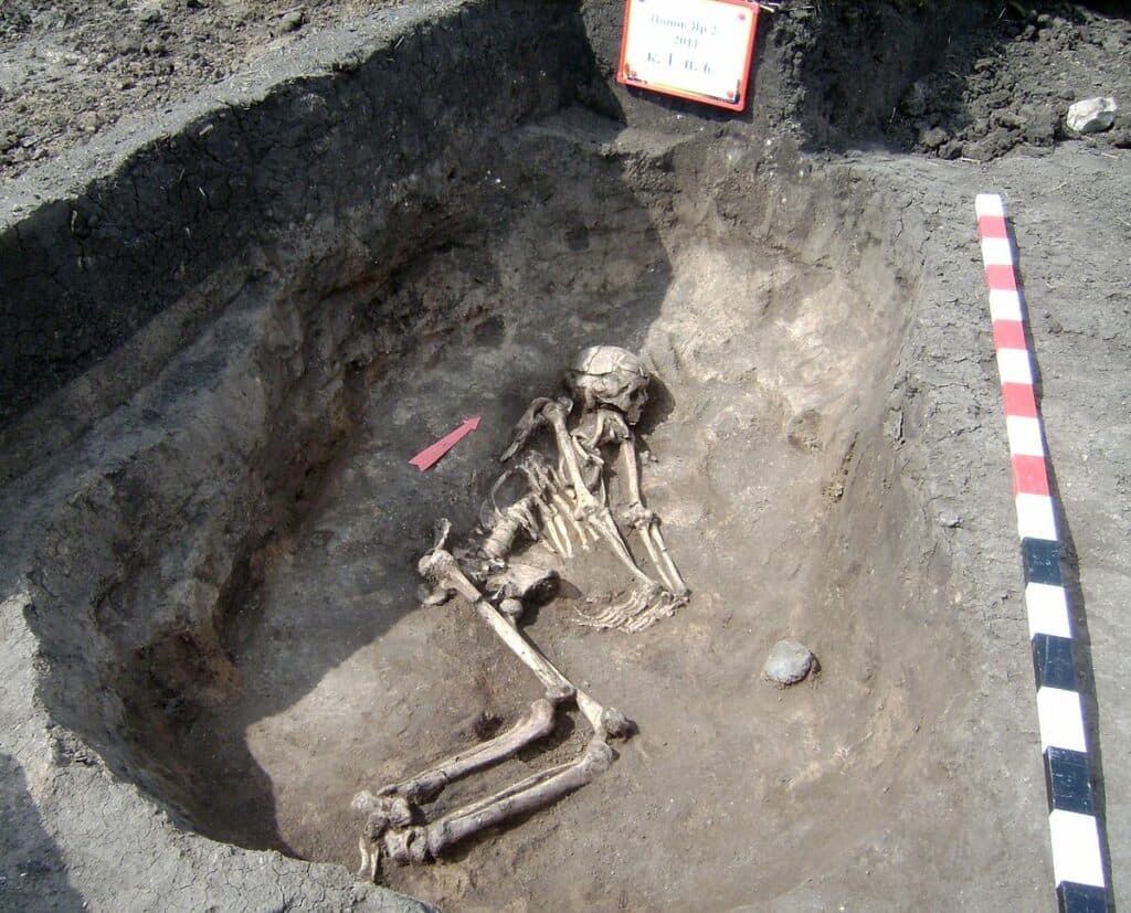 кургани Донеччина